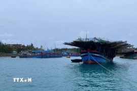 (Ảnh minh họa: TTXVN phát)