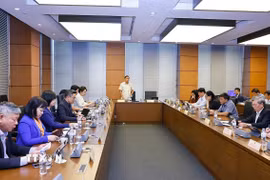 Đoàn đại biểu Quốc hội các tỉnh Đồng Tháp và Quảng Ngãi thảo luận ở tổ. (Ảnh: Doãn Tấn/TTXVN)
