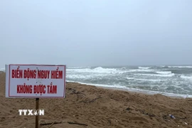 Vùng biển Tuy Hòa có sóng lớn, cơ quan chức năng đặt biển cấm tắm. (Ảnh: Tường Quân/TTXVN)