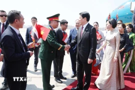 Đại biểu đón Chủ tịch nước Lương Cường và Phu nhân tại sân bay quốc tế Cairo, Ai Cập. (Ảnh: Lâm Khánh/TTXVN)