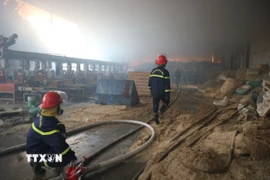 Lực lượng Cảnh sát phòng cháy chữa cháy và cứu nạn cứu hộ, Công an tỉnh Hưng Yên đang triển khai phương án dập lửa. (Ảnh Mạnh Khánh/TTXVN)