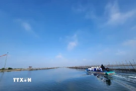 Khung cảnh bình yên vùng đầm phá Tam Giang-Cầu Hai xứ Huế. (Ảnh: Mai Trang/TTXVN)