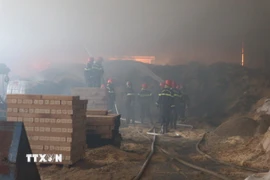 Đám cháy bùng phát mạnh do trong nhà xưởng có nhiều vật dụng dễ bắt lửa. (Ảnh Mạnh Khánh/TTXVN)