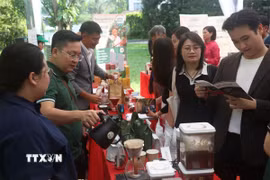 Khách mời tham quan các gian hàng và thưởng thức càphê tại Lễ hội Càphê Việt Nam 2026 tại Singapore. (Ảnh: Ngọc Khương/TTXVN)