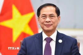 Phó Thủ tướng, Bộ trưởng Ngoại giao Bùi Thanh Sơn. (Ảnh: TTXVN phát)