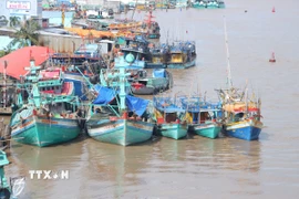 Các đội tàu neo đậu tại cửa biển sông Đốc (tỉnh Cà Mau). (Ảnh: Chanh Đa/TTXVN)