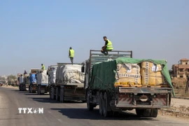 Đoàn xe chở hàng viện trợ nhân đạo tại Deir al-Balah, miền Trung Dải Gaza. (Ảnh: THX/TTXVN)