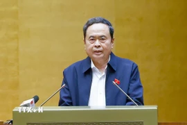 Chủ tịch Quốc hội Trần Thanh Mẫn phát biểu chỉ đạo hội nghị. (Ảnh: Doãn Tấn/TTXVN)