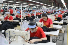 (Ảnh minh họa. Xuân Tiến/TTXVN)