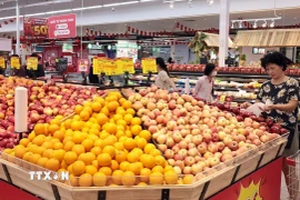 Mua sắm tiêu dùng góp phần tăng trưởng kinh tế Việt Nam. (Ảnh: Trần Việt/TTXVN)