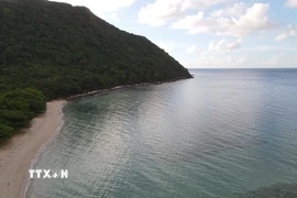 Bãi Cát Lớn-Hòn Bảy Cạnh, Vườn quốc gia Côn Đảo nơi mỗi năm hàng trăm rùa mẹ lên làm tổ, đẻ trứng. (Ảnh: Huỳnh Sơn/TTXVN)
