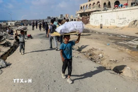 Trẻ em Palestine nhặt củi để sử dụng trong khi nhiên liệu để nấu ăn bị thiếu hụt tại thành phố Gaza. (Ảnh: THX/TTXVN)
