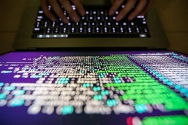 Ảnh minh họa. (Nguồn: Anadolu)