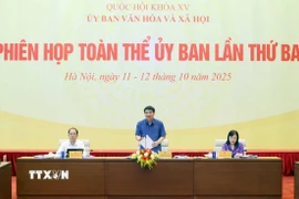 Chủ nhiệm Ủy ban Văn hóa và Xã hội của Quốc hội Nguyễn Đắc Vinh phát biểu. (Ảnh: Phạm Kiên/TTXVN)