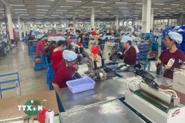 Hoạt động sản xuất tại Công ty Pou Phong Việt Nam, Khu công nghiệp Bàu Xéo (Đồng Nai). (Ảnh: Công Phong/TTXVN)