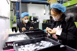 Công nhân Công ty TNHH Nhựa Cotec (Khu công nghiệp Phúc Khánh, thành phố Thái Bình) sản xuất các sản phẩm. (Ảnh: Thế Duyệt/TTXVN)