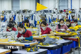 Các dự án FDI tại Quảng Ngãi đã tạo việc làm và thu nhập cho nhiều động địa phương. (Ảnh: Hoàng Hiếu/TTXVN)