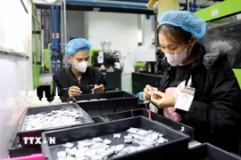 Công nhân Công ty TNHH Nhựa Cotec (Khu công nghiệp Phúc Khánh, thành phố Thái Bình) sản xuất các sản phẩm. (Ảnh: Thế Duyệt/TTXVN)