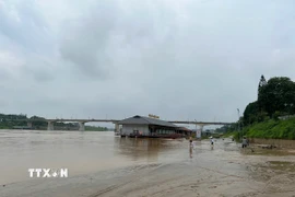 Mực nước sông Lô đoạn qua thành phố Tuyên Quang lên cao. (Ảnh: Hoàng Hải/TTXVN)
