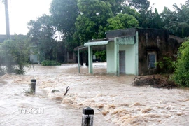 Mưa lớn gây ngập nặng tại xã Hàm Liêm, tỉnh Lâm Đồng. (Ảnh: Hồng Hiếu/TTXVN)