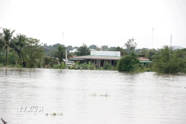 Hàng trăm hộ dân tại xã Hàm Thuận (Lâm Đồng) bị ngập sâu trong nước lũ. (Ảnh: Nguyễn Thanh/TTXVN)