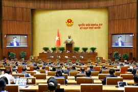 Quang cảnh phiên họp. (Ảnh: Doãn Tấn/TTXVN)