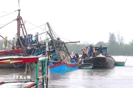 Lực lượng Bộ đội Biên phòng, các lực lượng, chính quyền địa phương và người dân nỗ lực kéo tàu lên khỏi vị trí chìm. (Ảnh: TTXVN phát)