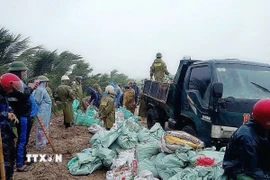 Chính quyền xã Hoằng Châu (Thanh Hóa) phải huy động tối đa lực lượng, người dân để gia cố, khắc phục tình trạng sạt lở mái đê trong mưa. (Ảnh: Việt Hoàng/TTXVN)