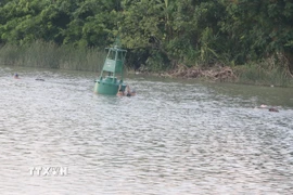 Người dân, trẻ em tắm, bơi lội trên sông Trà Lý, đoạn qua thành phố Thái Bình vào các buổi chiều, tiềm ẩn tai nạn đuối nước. (Ảnh: Vũ Quang/TTXVN)