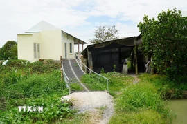 Cây cầu đã được xây dựng để người dân lưu thông, vận chuyển vật tư nông nghiệp. (Ảnh: Nhựt An/TTXVN)