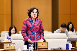 Thống đốc Ngân hàng Nhà nước Việt Nam Nguyễn Thị Hồng phát biểu. (Ảnh: Doãn Tấn/TTXVN)