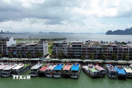 Tàu du lịch tránh trú bão tại âu cảng tàu khách quốc tế Tuần Châu, phường Tuần Châu, tỉnh Quảng Ninh. (Ảnh: Đức Hiếu/TTXVN)