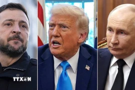 (Từ trái sang) Tổng thống Ukraine Volodymyr Zelensky, Tổng thống Mỹ Donald Trump và Tổng thống Nga Vladimir Putin. (Ảnh: AP/TTXVN)