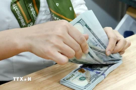 Kiểm đồng USD tại Ngân hàng Vietcombank. (Ảnh: Trần Việt/TTXVN)