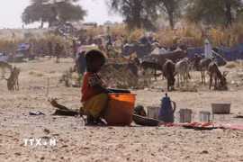 Trẻ em Sudan tìm thức ăn tại một trại tị nạn ở El Fasher, Bắc Darfur, Sudan ngày 9/7/2025. (Ảnh: THX/TTXVN)