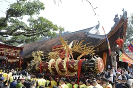 Khoảng hơn 11 giờ, pháo được rước về đình làng để làm lễ. (Ảnh: Thái Hùng/TTXVN)