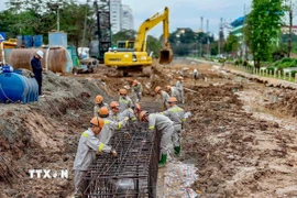 Ảnh minh họa. (Ảnh: Trung Nguyên/TTXVN)