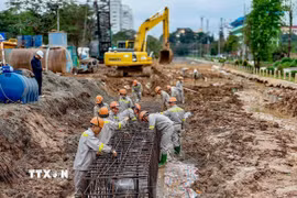 Ảnh minh họa. (Ảnh: Trung Nguyên/TTXVN)