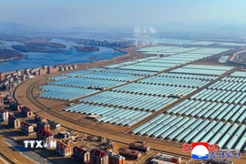 Quang cảnh trang trại nhà kính ở Sinuiju, Triều Tiên. (Ảnh: Yonhap/TTXVN)