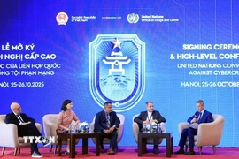 Các đại biểu thảo luận tại hội thảo. (Ảnh: Tuấn Anh/TTXVN)