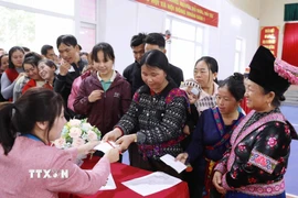 Phát phiếu bầu cho cử tri. (Ảnh: Quý Trung/TTXVN)