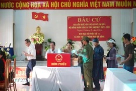 Đúng 6 giờ 30 phút, sau lễ chào cờ, hát Quốc ca, công bố thể lệ và quy chế bầu cử, cử tri xã Núi Thành tiến hành bầu cử. (Ảnh: Đoàn Hữu Trung/TTXVN)