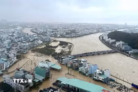 Nhiều khu vực tại phường Quy Nhơn Đông (tỉnh Gia Lai) ngập sâu trong nước trong đợt mưa lũ vừa qua. (Ảnh: Quang Thái/TTXVN)