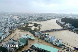 Nhiều khu vực tại phường Quy Nhơn Đông (tỉnh Gia Lai) ngập sâu trong nước trong đợt mưa lũ vừa qua. (Ảnh: Quang Thái/TTXVN)