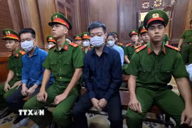 Các bị cáo tại phiên tòa sáng 19/11. (Ảnh: Linh Sơn/TTXVN)