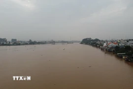 Mực nước sông Đồng Nai tại khu vực Biên Hòa lên cao, nhiều khu dân cư ven sông có nguy cơ ngập lụt. (Ảnh: Sỹ Tuyên/TTXVN)