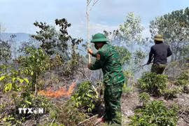 Đồn Biên phòng Cửa khẩu A Đớt, Ban Chỉ huy Bộ đội Biên phòng thành phố Huế cùng với các đơn vị địa phương kịp thời dập tắt đám cháy tại xã A Lưới 4, thành phố Huế. (Ảnh: TTXVN phát)