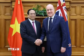 Thủ tướng Phạm Minh Chính và Thủ tướng New Zealand Christopher Luxon. (Ảnh: Dương Giang/TTXVN)