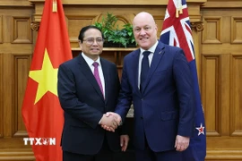 Thủ tướng Phạm Minh Chính và Thủ tướng New Zealand Christopher Luxon. (Ảnh: Dương Giang/TTXVN)