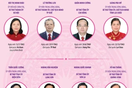 Danh sách Bí thư Tỉnh ủy, Thành ủy của 11 tỉnh, thành không thực hiện sáp nhập